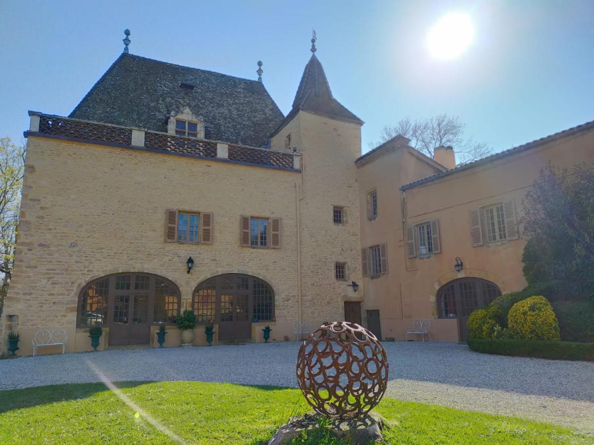 Chateau de la Venerie Denicé Exterior foto