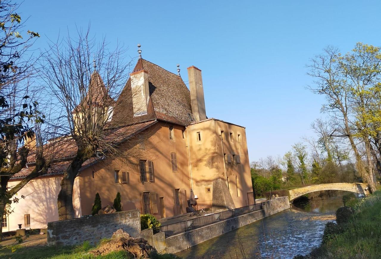 Chateau de la Venerie Denicé Exterior foto