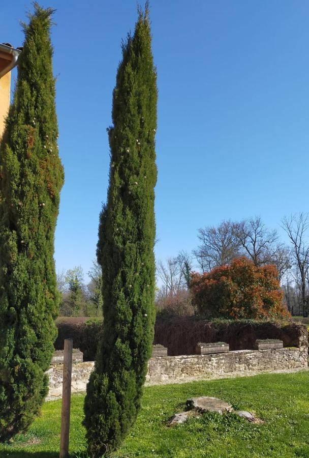 Chateau de la Venerie Denicé Exterior foto