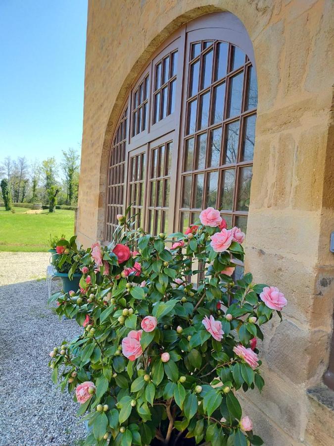 Chateau de la Venerie Denicé Exterior foto